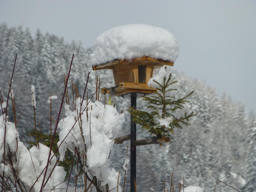 Guesthouse Mountain View Grosskirchheim Ngoại thất bức ảnh
